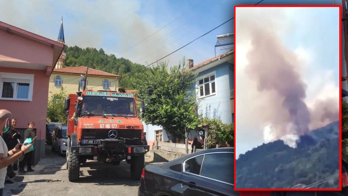 Zonguldak Devrek’te Orman Yangını